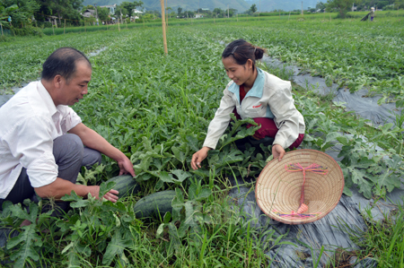 Chị Hoàng Thị Mừng trao đổi kinh nghiệm chăm sóc dưa hấu với anh Hà Văn Sinh - cán bộ địa chính, nông nghiệp xã.